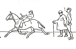 Seat, Gaits, and Reactions & The Evolution of the Position of the Rider through the Ages by Captain Beauregard de Sévy
