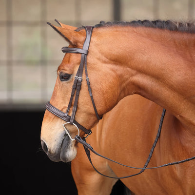 Avignon Wellington Bridle FULL