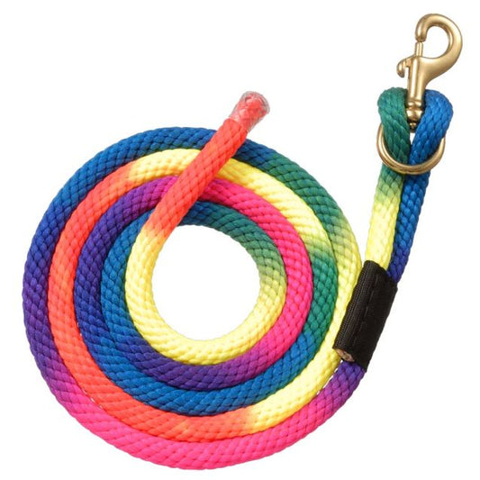 TOUGH1 NYLON RAINBOW LEAD WITH REPLACEABLE BOLT SNAP
