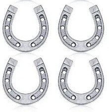 Silver Horseshoe Pin