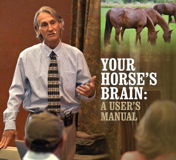 Your Horse’s Brain: A User’s Manual Video