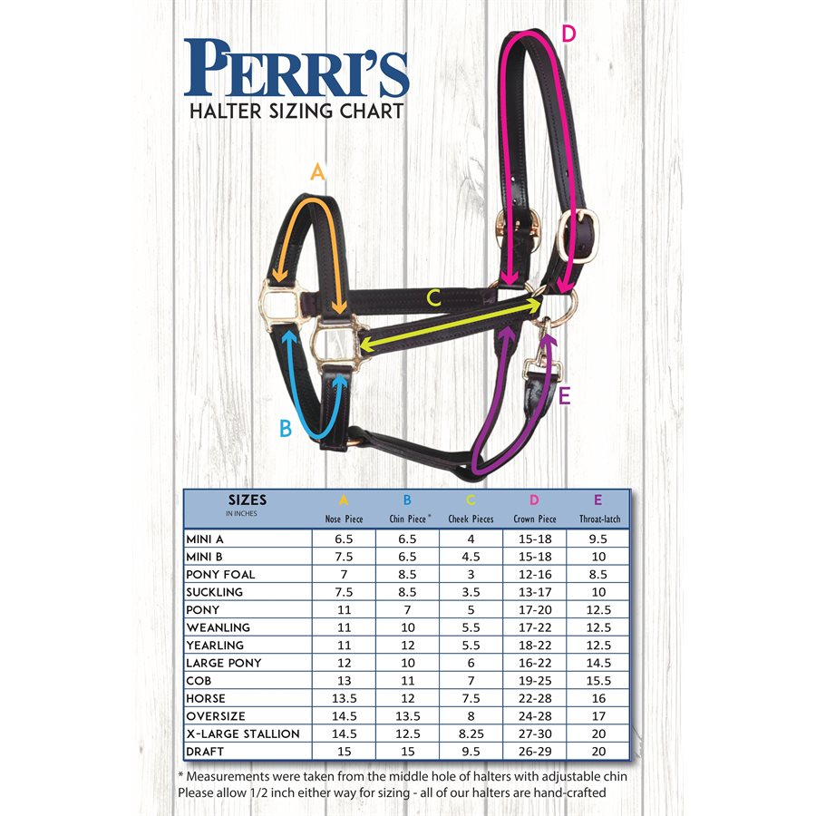 1" Cob Havana Show Halter