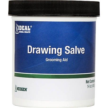 Ideal Drawing Salve