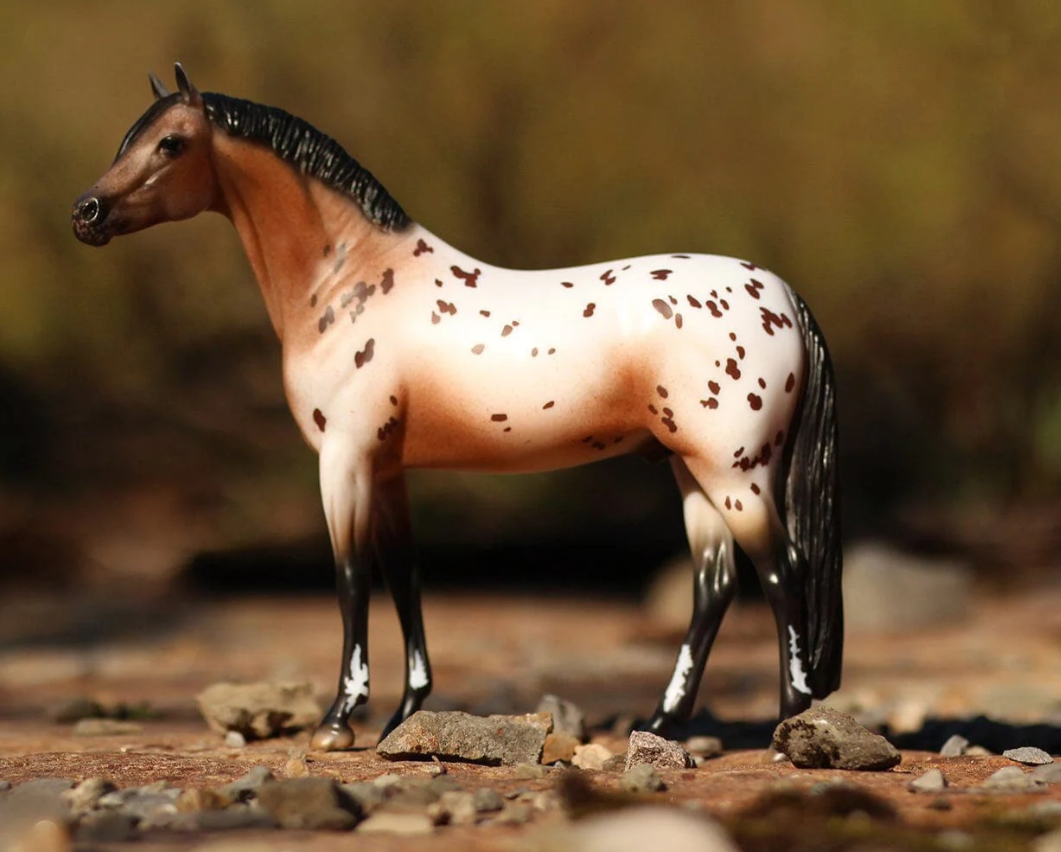 Breyer The Ideal Series | Pony of the Americas 1883 (Retired)