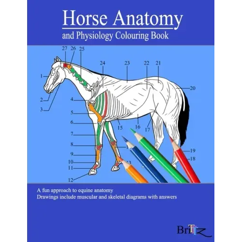 Horse Anatomy and Physiology Colouring Book: A Detailed Guide to Equine Anatomy with Answers Perfect Gift for Veterinary Students, Animal lovers, Adul