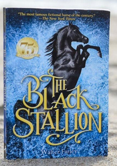 The Black Stallion (Book)