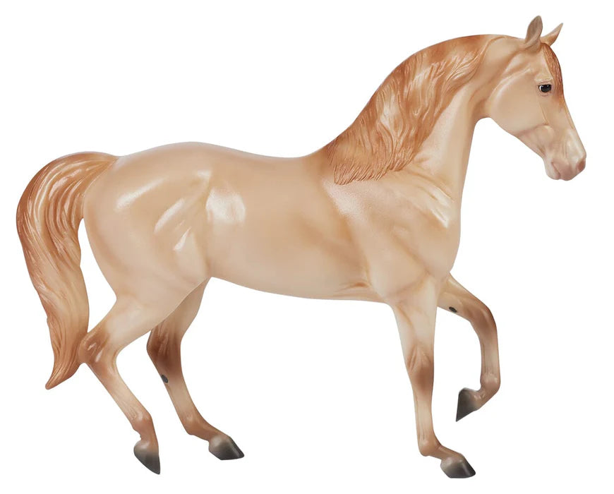 Champagne Quarter Horse Cross 10611