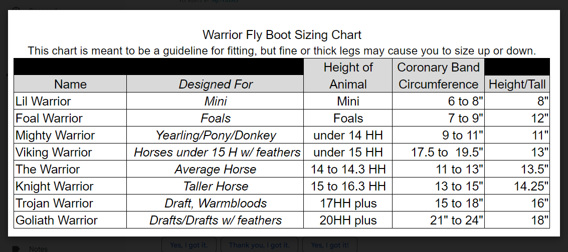 Warrior Fly Boots