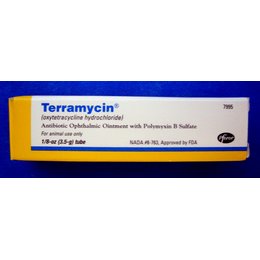Pfizer Terramycin Opthalmic Ointment 1/8 OZ