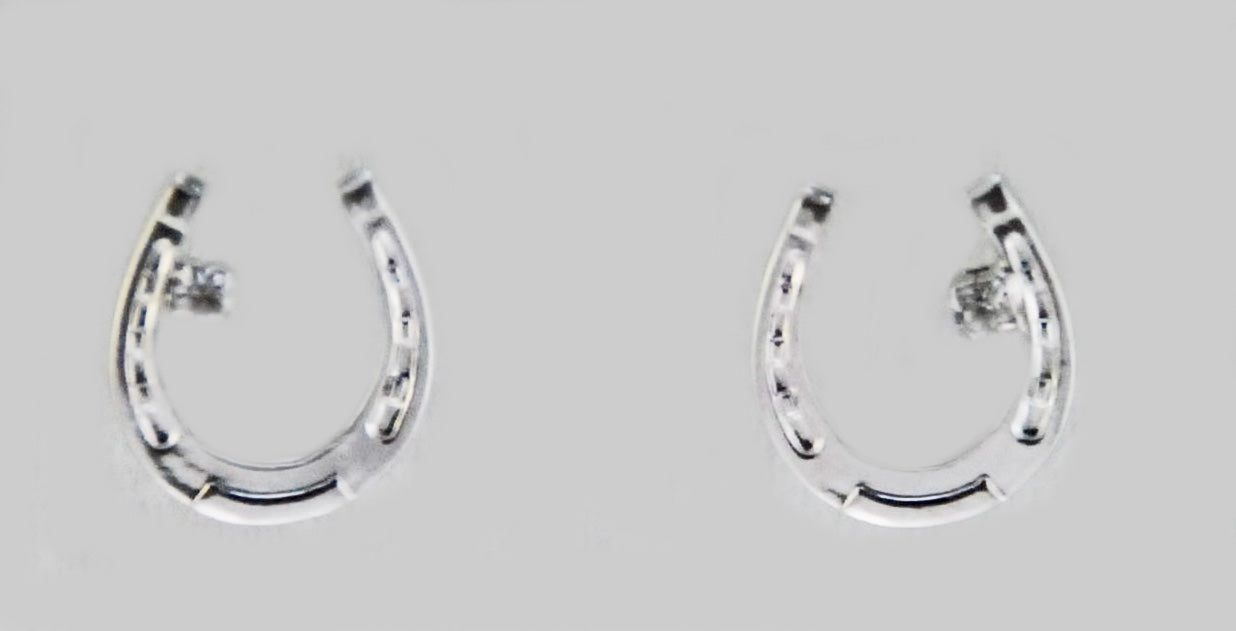 Finishing Touch - Horseshoe Earrigs with Stone