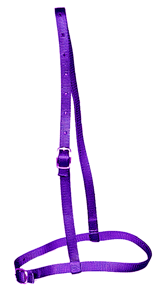 Jacks Race Caveson (Multiple Colors Available)