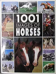 USED/ 1001 Images of Horses