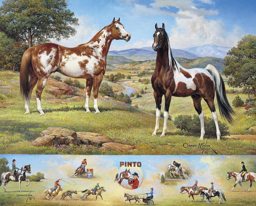 The Ideal Series | Pinto 10669 - 2026
