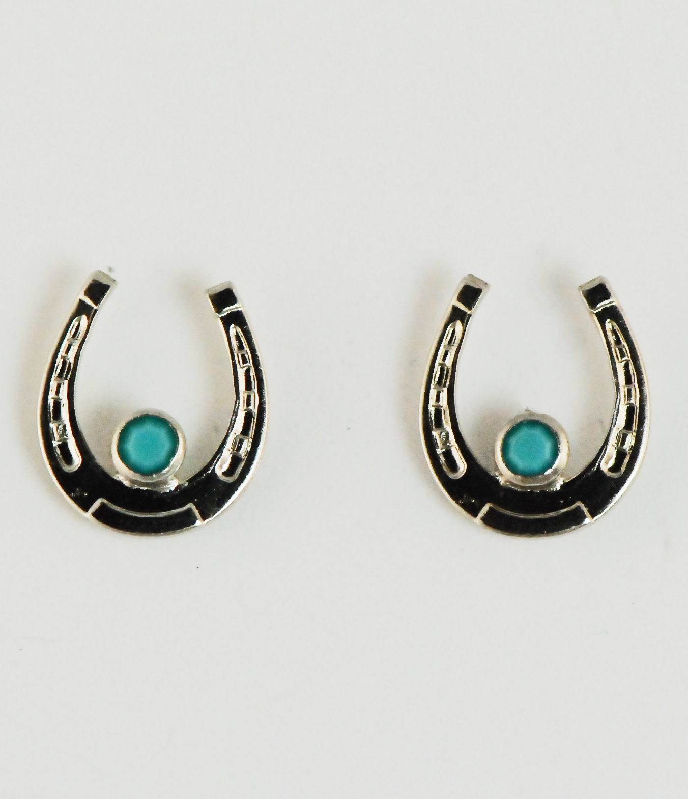 The Finishing Touch - Horseshoe with Imitation Stone Earrings