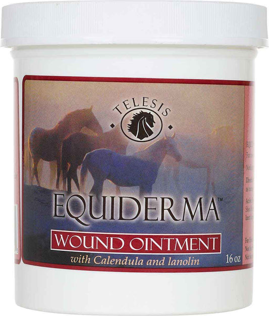 Equiderma Wound Ointment 16oz