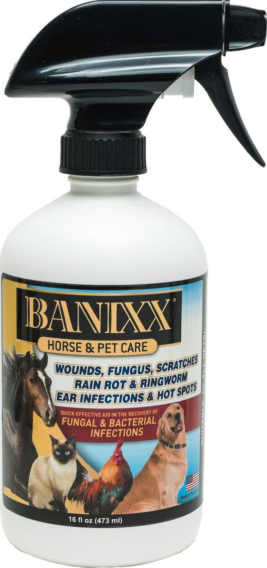 Banixx Horse and Pet Care Fungal and Bacterial Infections 16oz Spray