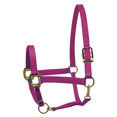 Horse Nylon Superhalter (Multiple Colors Available)