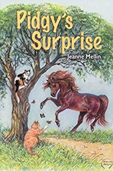 Pidgy's Surprise (Book)