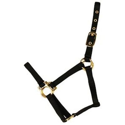 Valhoma Halter (Multiple Sizes)