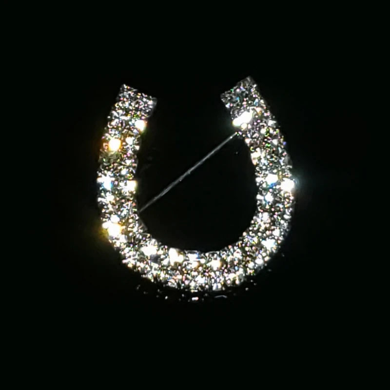 HORSESHOE LARGE CRYSTAL PIN