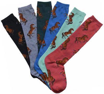 AWST Int'l Ladies "Lila" Bay Horse Knee Socks (Multiple Colors Available)