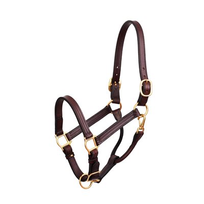Perri's Heavyweight Halter in Havana