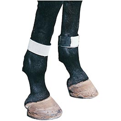 Fly Leg Bands For Horses - SET OF 4