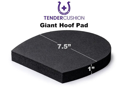 Tender Cushion 7.5" Wide X 1" Thick Pad