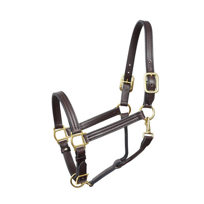 1" Horse Havana Show Halter