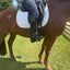Equisole EXternal-Weighted Training Aid for Equestrians