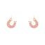 Sparkly Horseshoe Dangle Earrings
