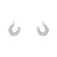 Sparkly Horseshoe Dangle Earrings