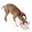 Wrangler Spotted Cow Dog Toy