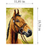 Gobelin canvas for halfstitch without yarn Horse 3593J