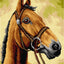 Gobelin canvas for halfstitch without yarn Horse 3593J