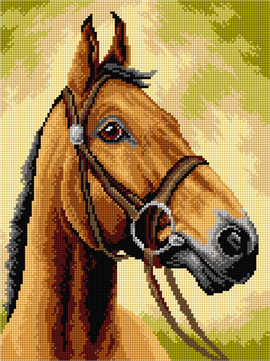 Gobelin canvas for halfstitch without yarn Horse 3593J