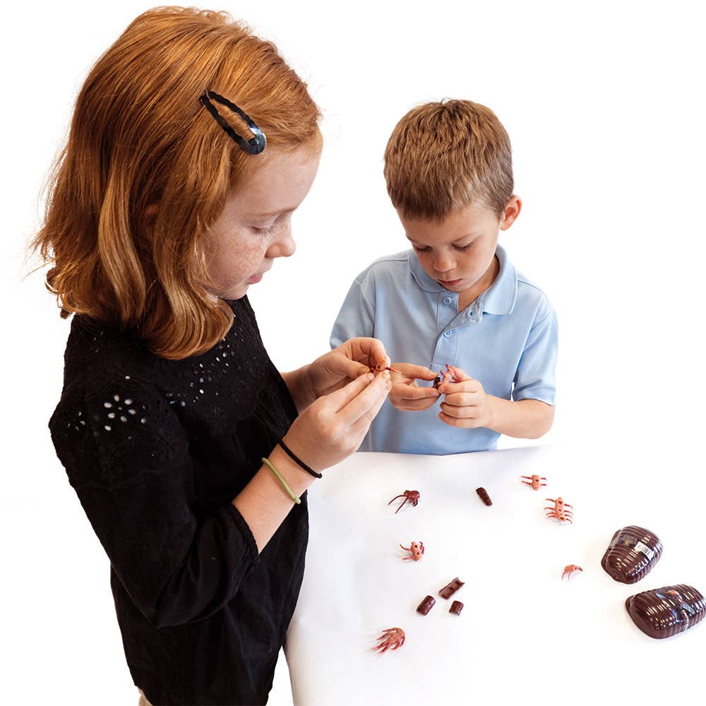 Gross Insects 3D Puzzle Set Assorted 4 Styles