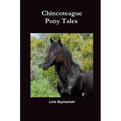 Chincoteague Pony Tales