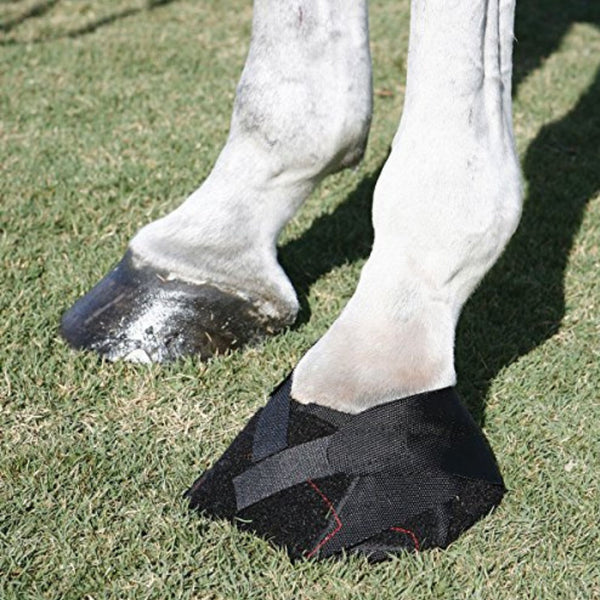 Hoof Wraps - Abscess Relief Kit
