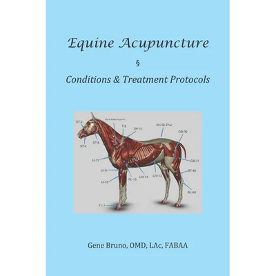 Equine Acupuncture - Conditions & Treatment Protocols