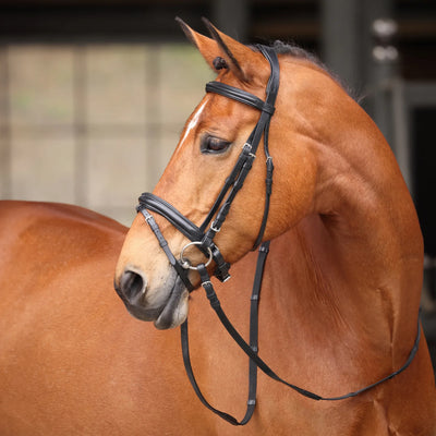 Avignon Aspen Bridle COB