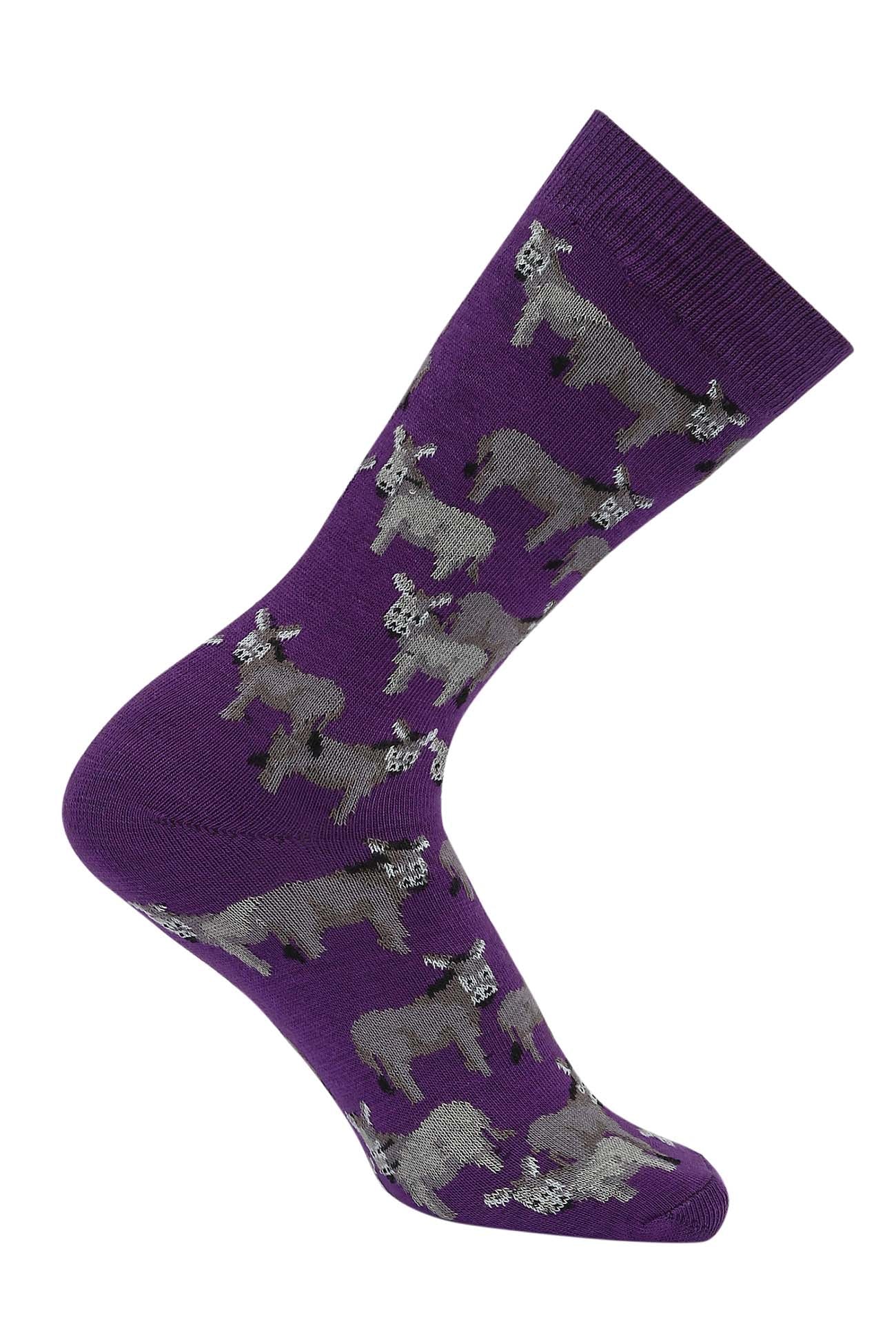 AWST Int'l Donkey Love Socks