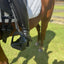 Equisole EXternal-Weighted Training Aid for Equestrians