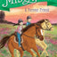 A Forever Friend (Marguerite Henry's Misty Inn)