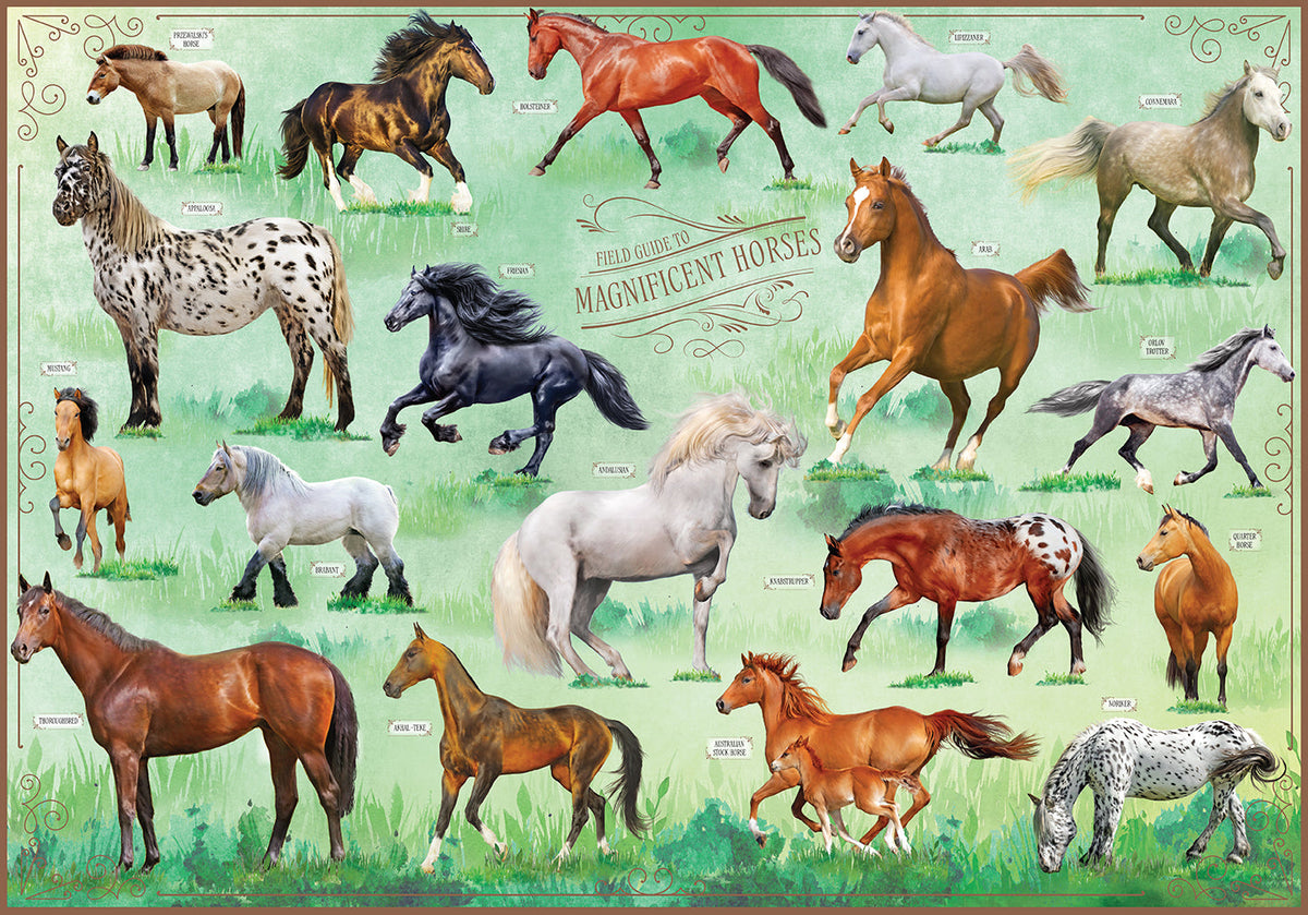 Field Guide to Magnificent Horses-Puzzle