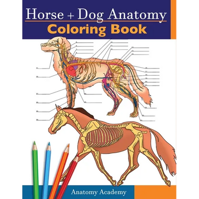 Horse + Dog Anatomy Coloring Book: 2-in-1 Compilation Incredibly Detailed Self-Test Equine & Canine Anatomy Color workbook Perfect Gift for Veterinary