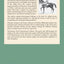 The Rider Forms the Horse: function and development of the muscles of the riding horse