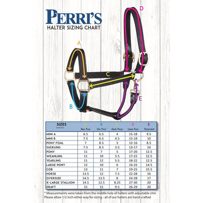 1" Cob Havana Show Halter