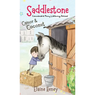 Saddlestone Connemara Pony Listening School Conor and Coconut