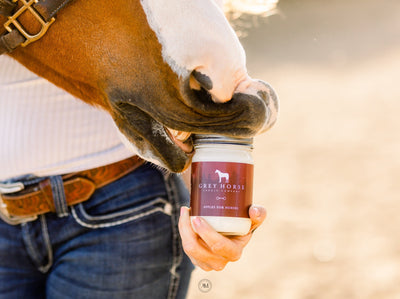 APPLES FOR HORSES